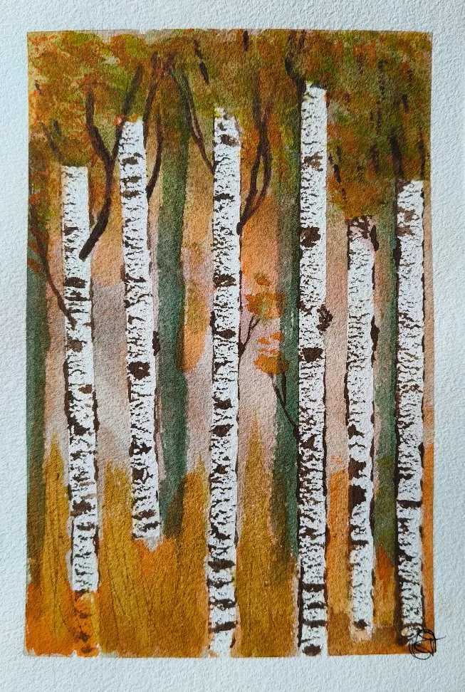 Birch tree forest