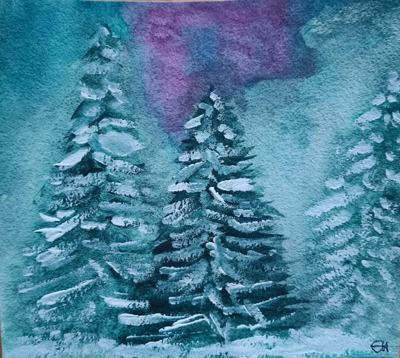 Snow covered pine tree