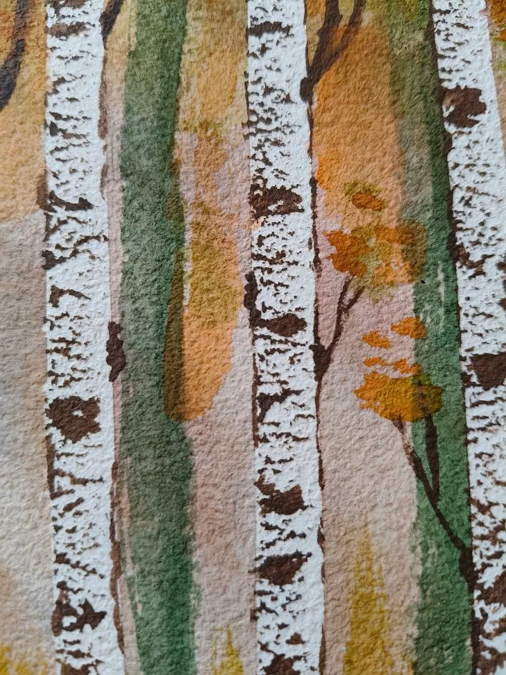Birch tree forest, foto 2