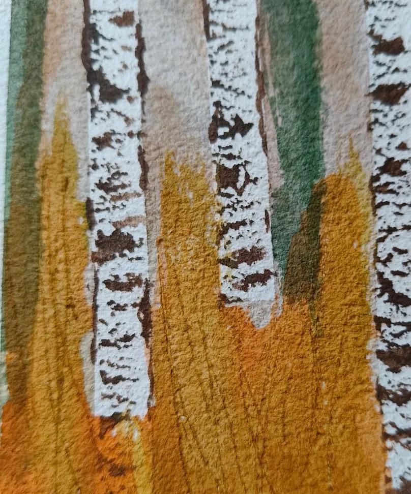 Birch tree forest, foto 3