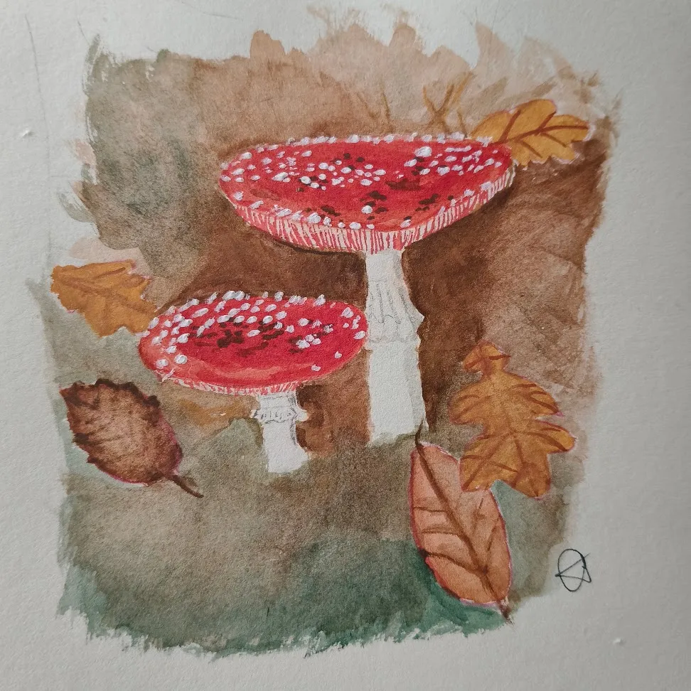 Fly agaric