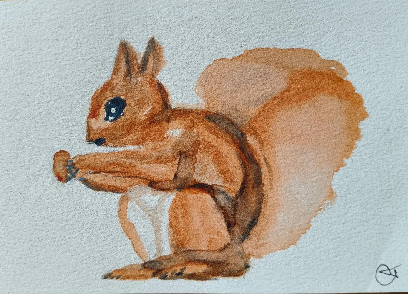 Squirrel